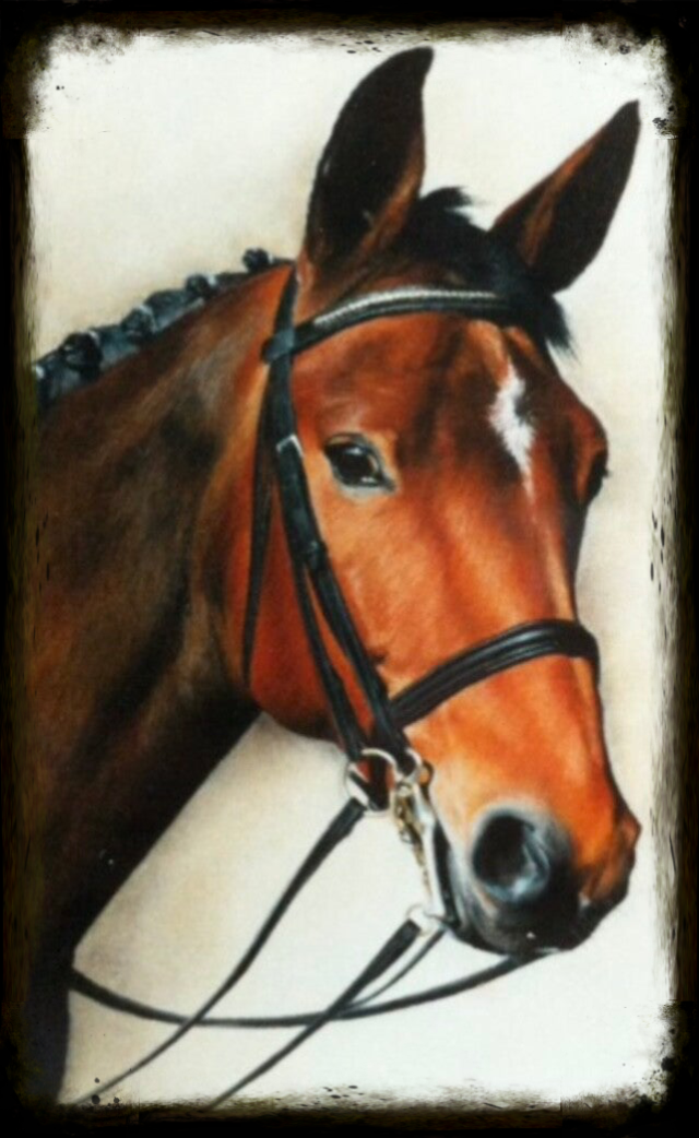 paardenportret in pastelkrijt