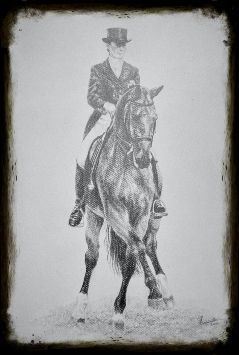 paardenportret in potlood zwart/wit