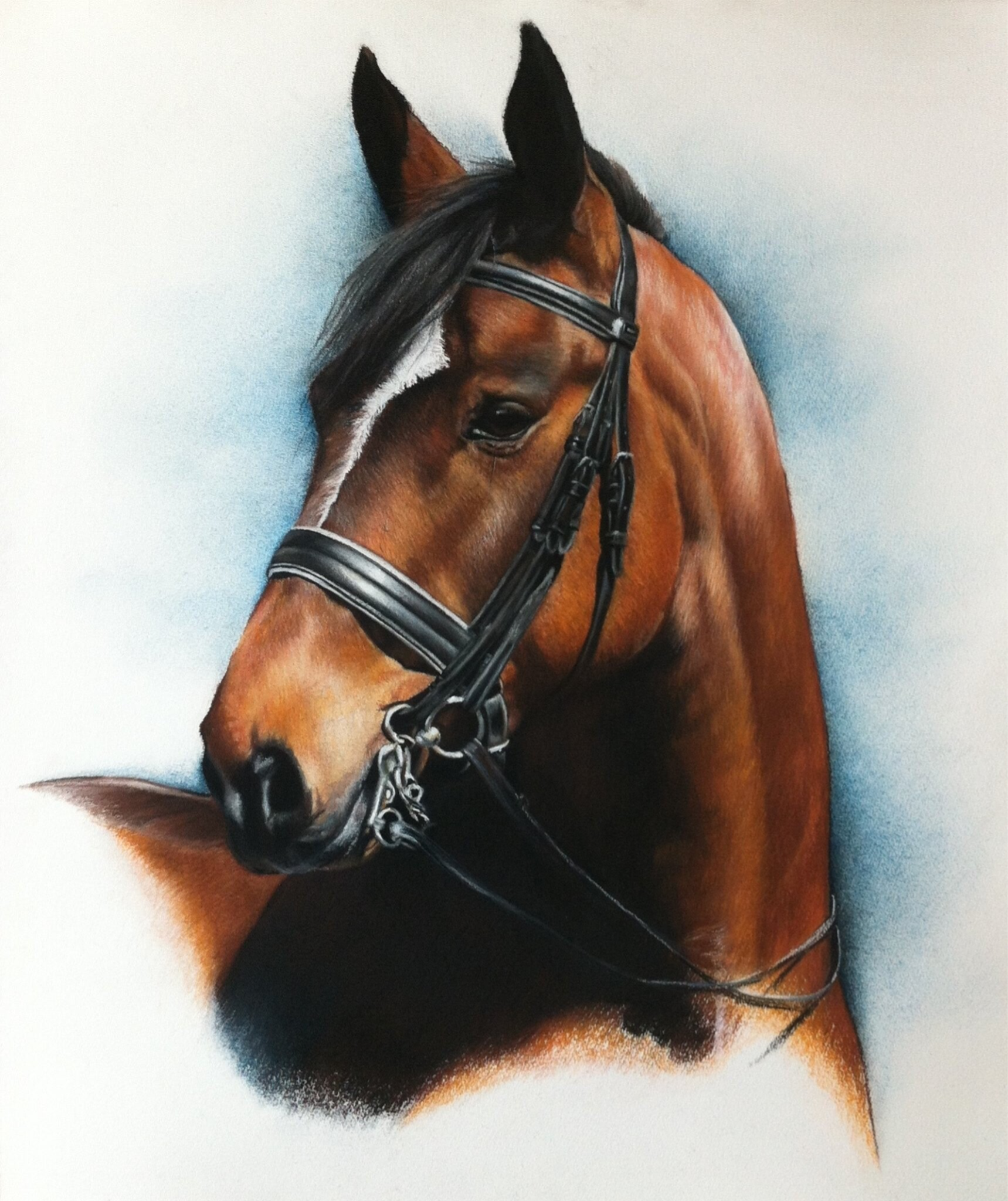 paard in pastelkrijt