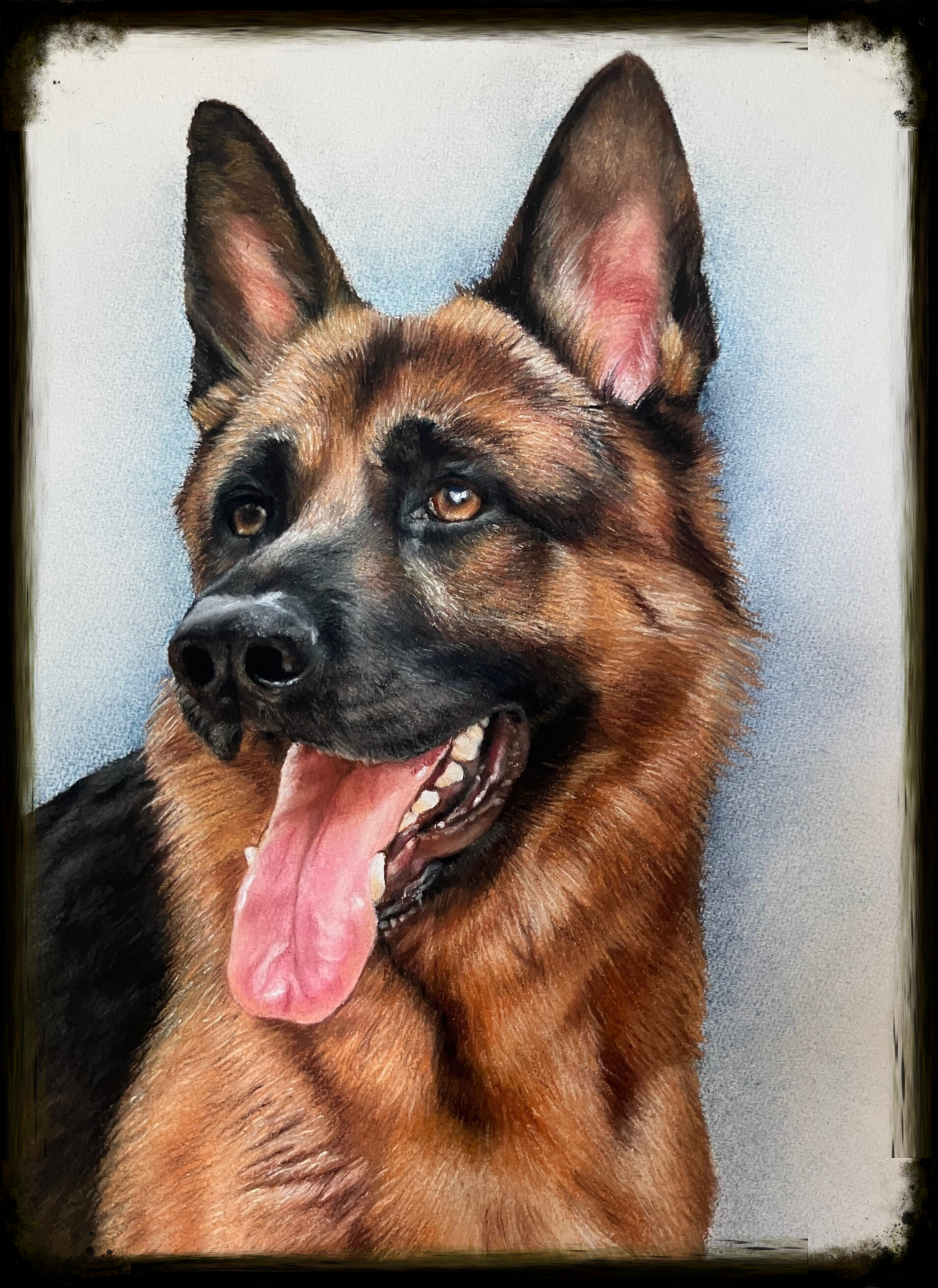 hondenportret in pastelkrijt