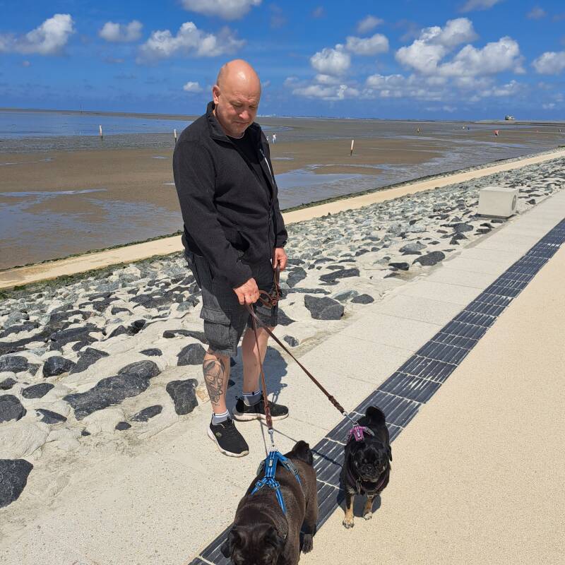 Nordsee mit den Möpsen Bonnie und Pepe
