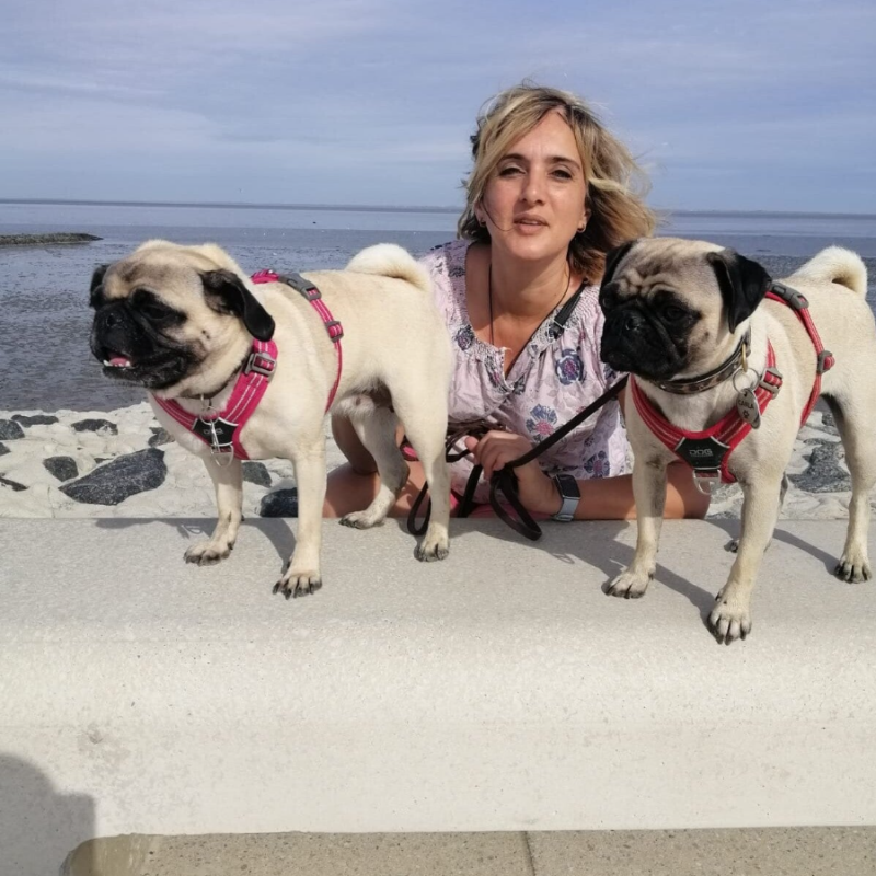 Nordsee mit den Möpsen Mia und Carla