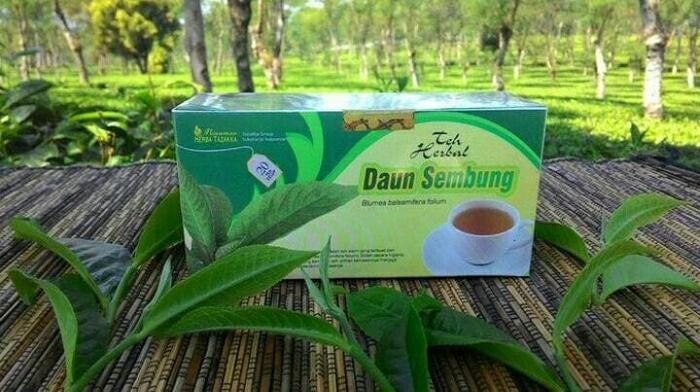 Teh herbal daun sembung nyawa