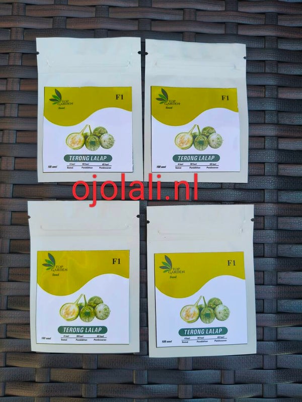 Benih Biji Terong Lalap Hijau per pack