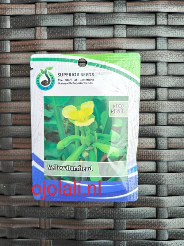 Benih Biji Sayuran Genjer (Superior Seeds)