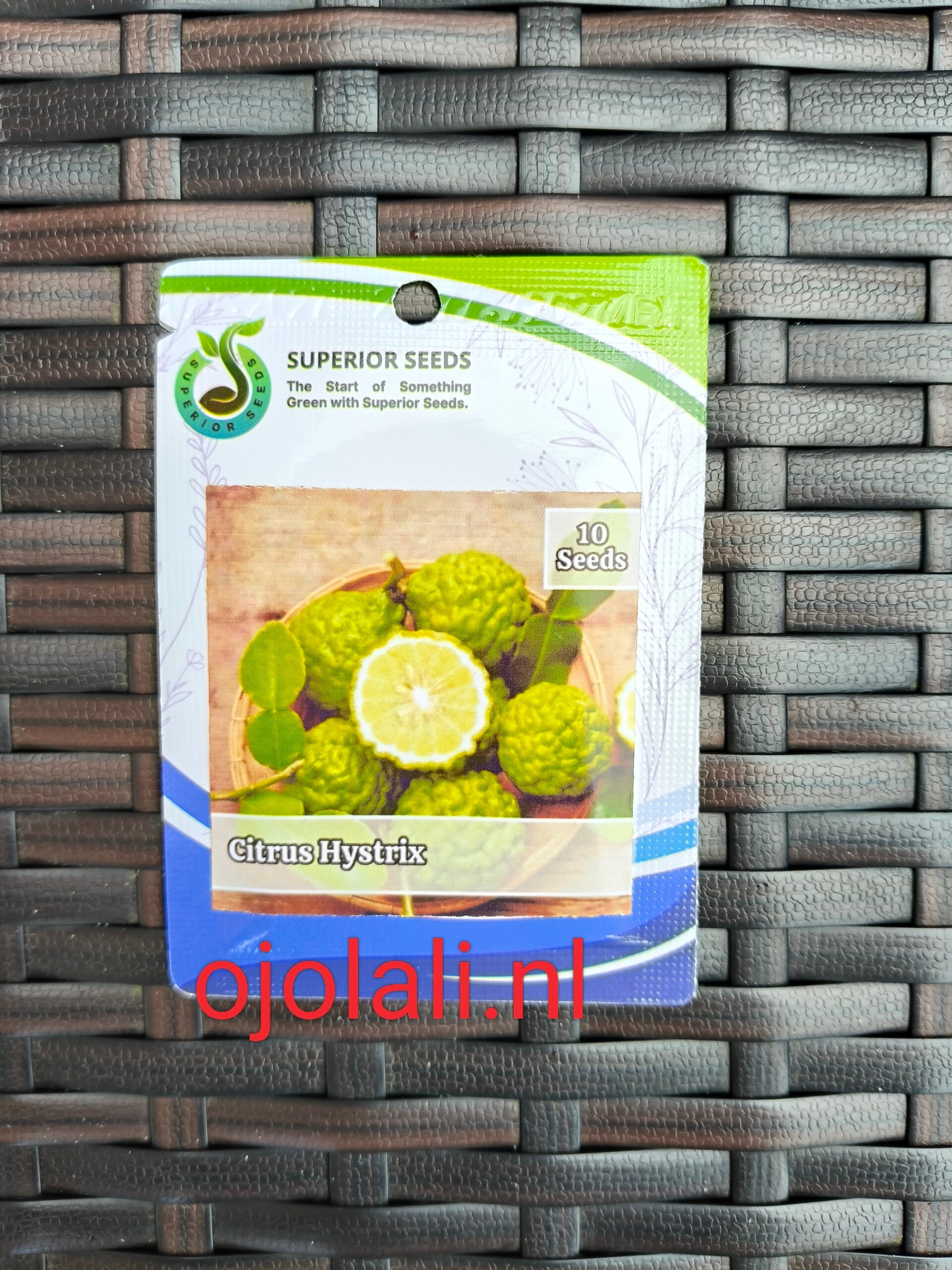 Benih Biji Jerut Purut (Superior Seeds)