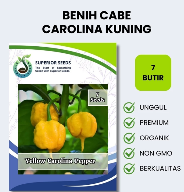 Benih Biji Cabe Carolina Kuning | Cabe Terpedas (Superior Seeds)