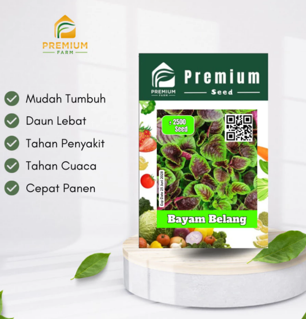 Benih Biji Premium BAYAM BELANG per pack