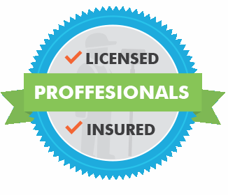 Professional - Insured - Logo