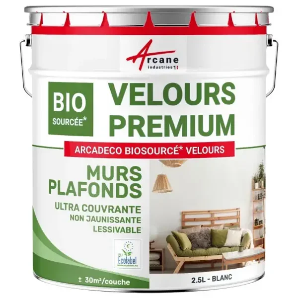 Peinture velours mur et plafond : ARCADÉCO BIOSOURCÉ