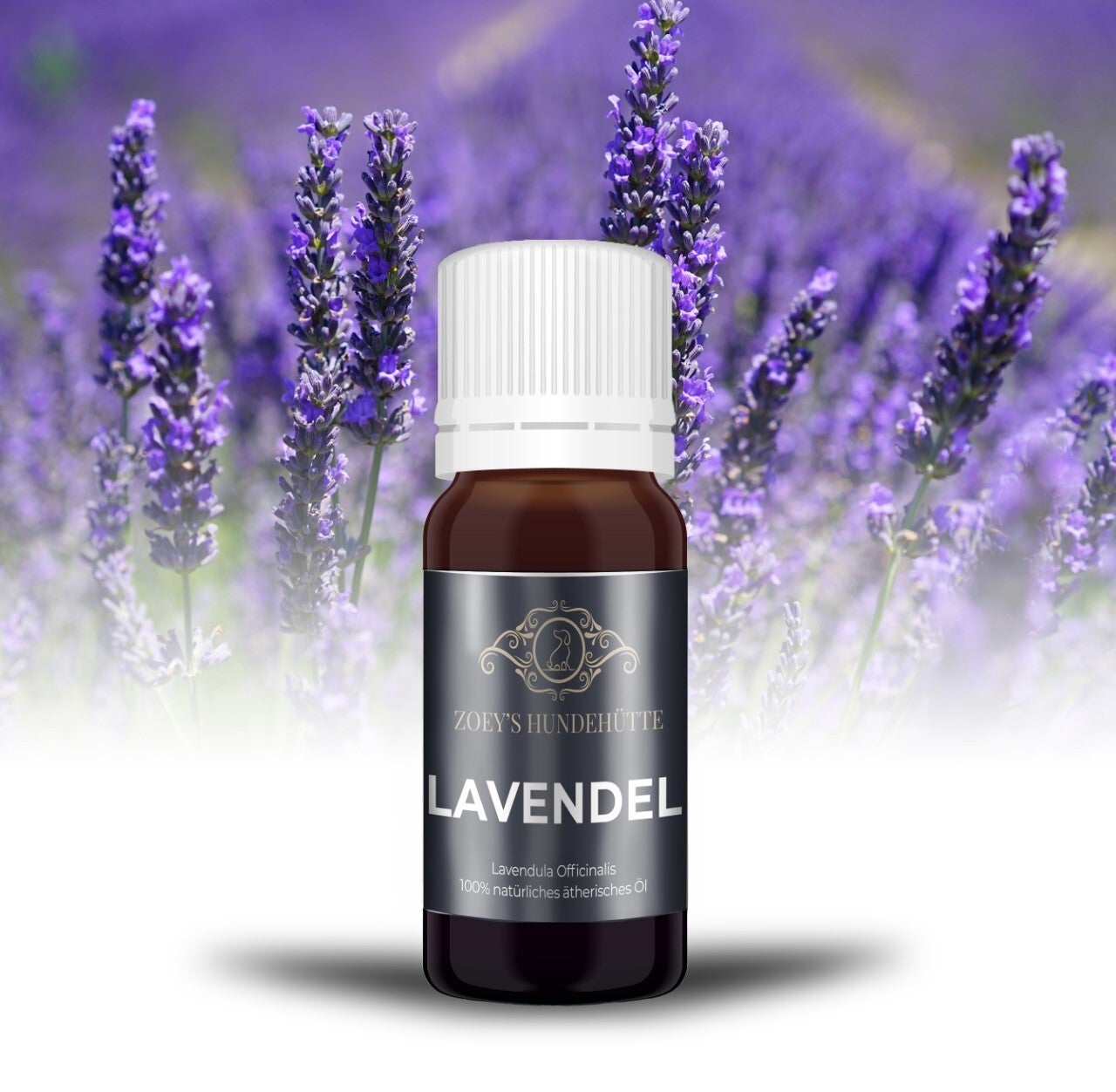 Entspannungsduft Lavendel 10ml