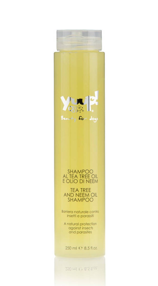 Hundeshampoo mit Teebaumöl und Neemöl 250ml