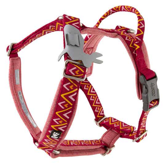 Geschirr Razzle Dazzle rot