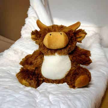 -Highland Cow Teddy