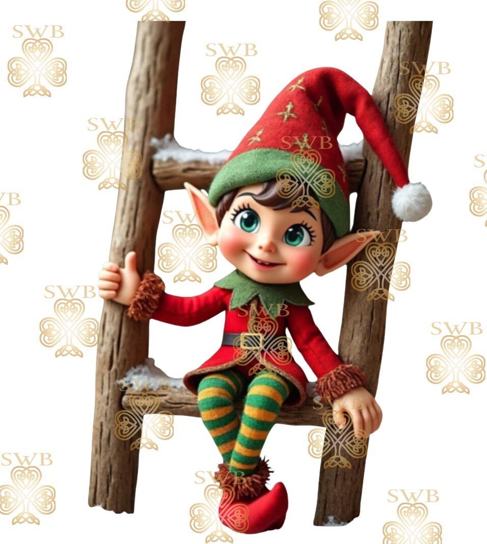 Digital Download #438