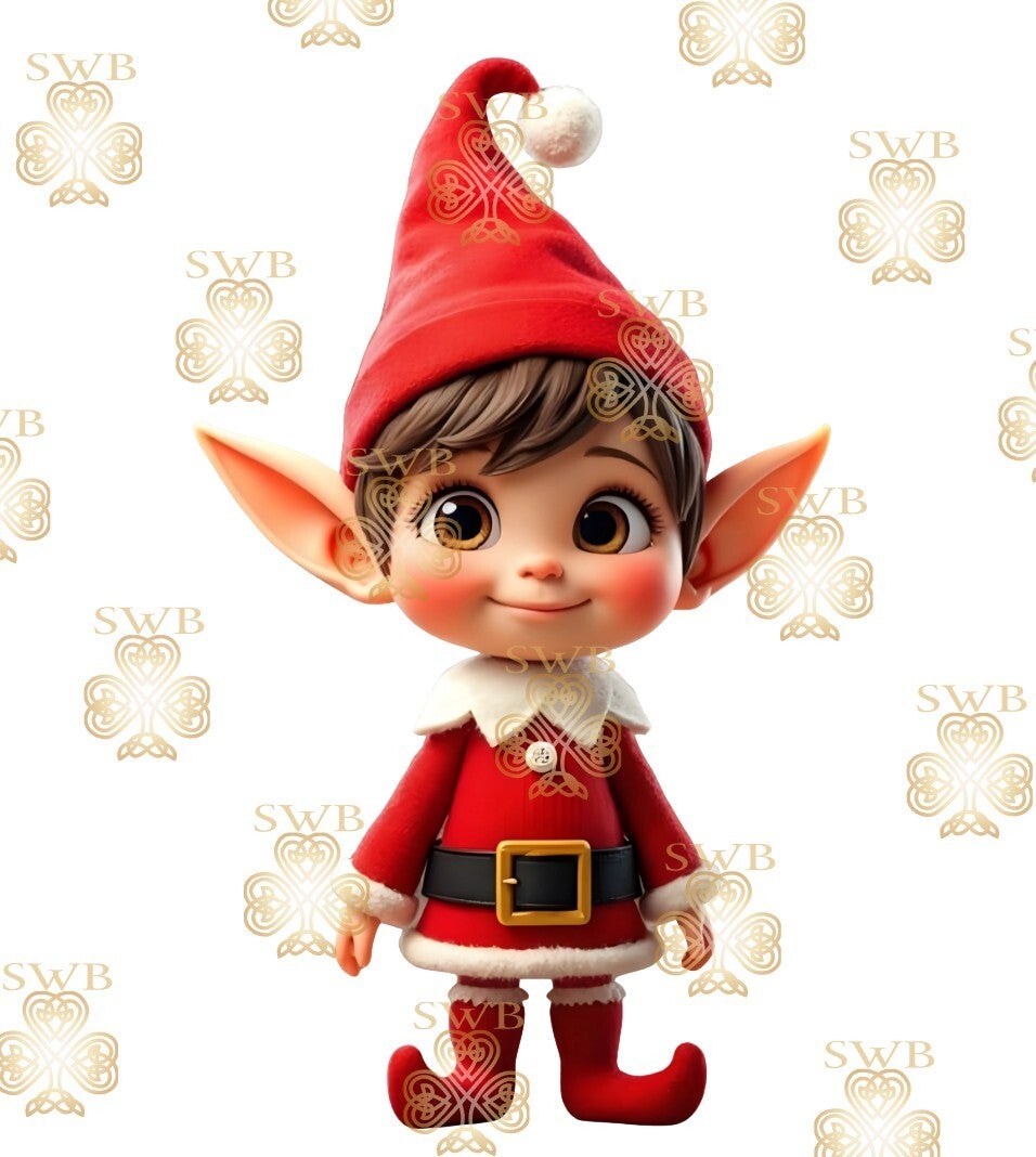 Digital Download #439