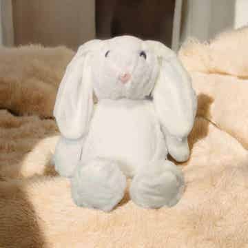 -Bunny Teddy- White