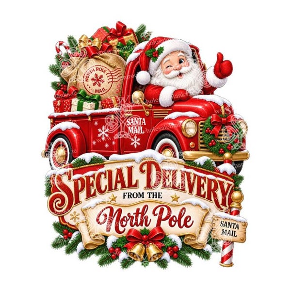 Digital Download Christmas Special Delivery #3