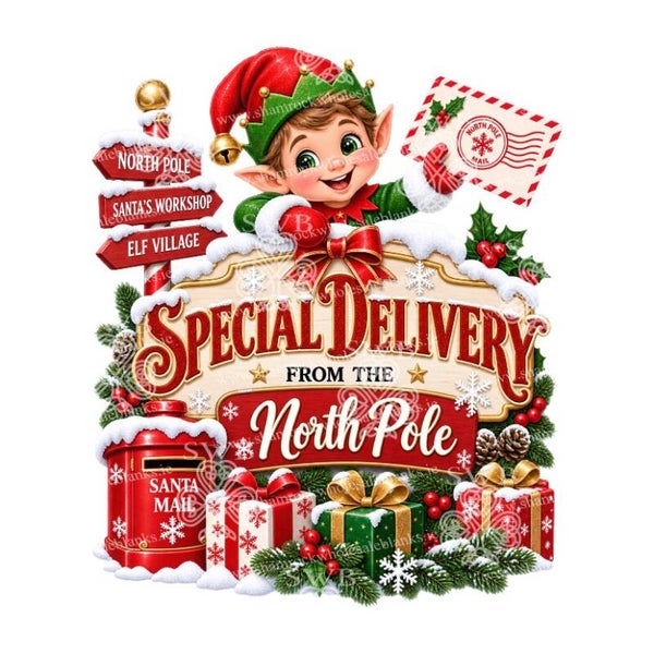 Digital Download Christmas Special Delivery #4