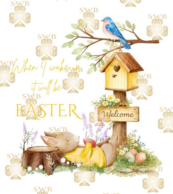 Digital Download #517