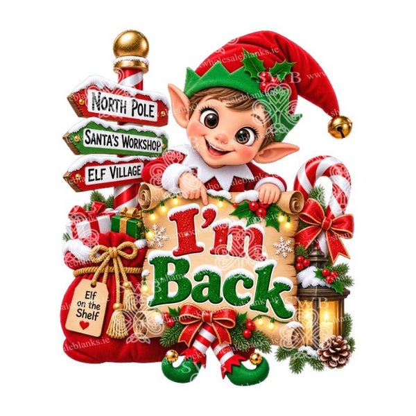 DTF or UVDTF Print - Elf #27