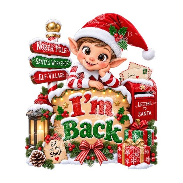 DTF or UVDTF Print - Elf #28