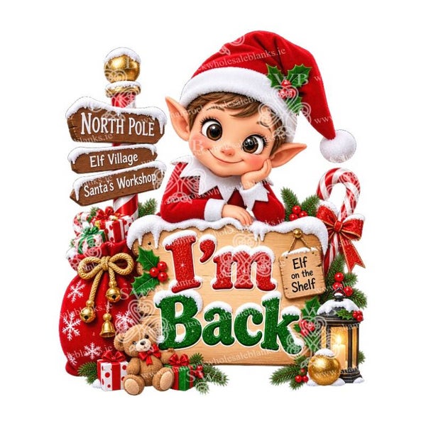 DTF or UVDTF Print - Elf #29