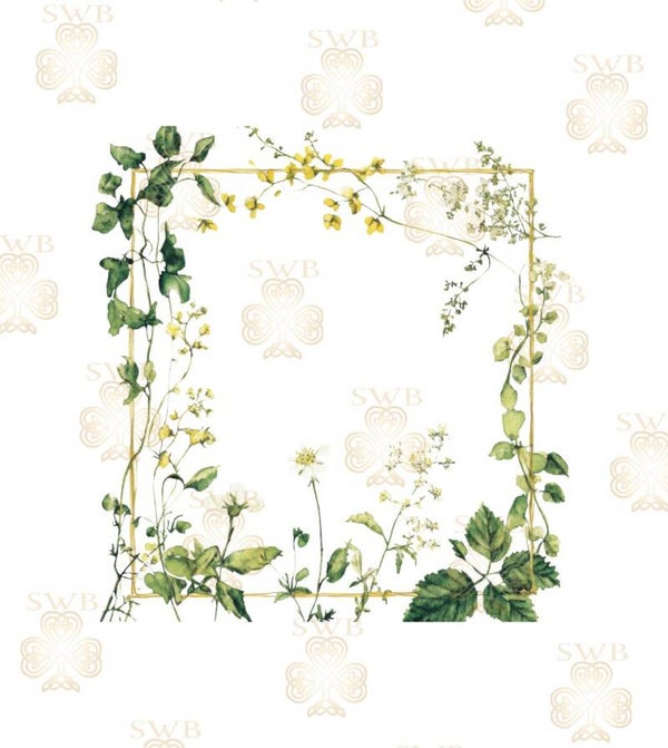 DTF or UVDTF Print -Floral Frame #2