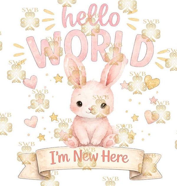 DTF or UVDTF Print -Hello World #13