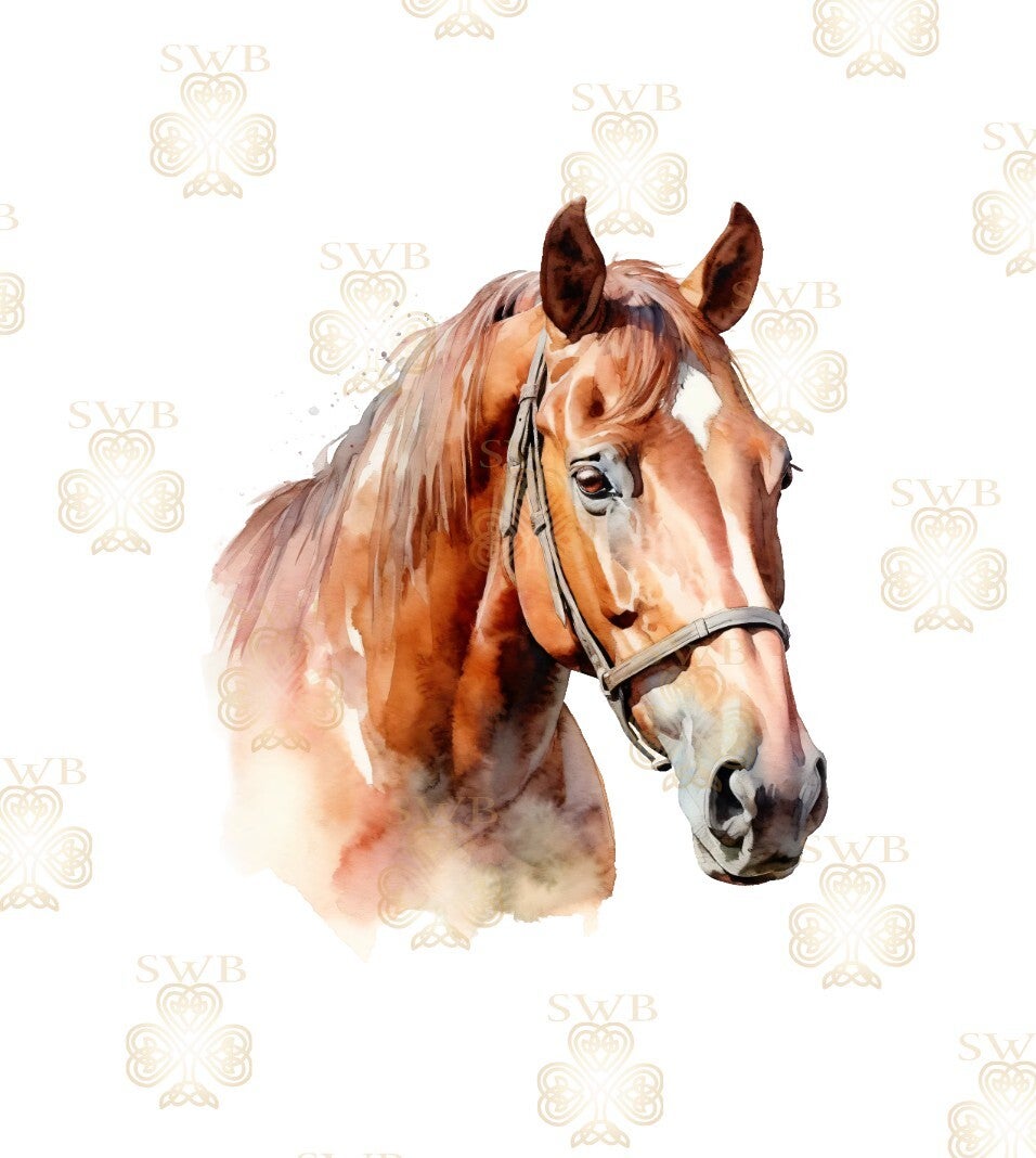 DTF or UVDTF Print -Horse #6