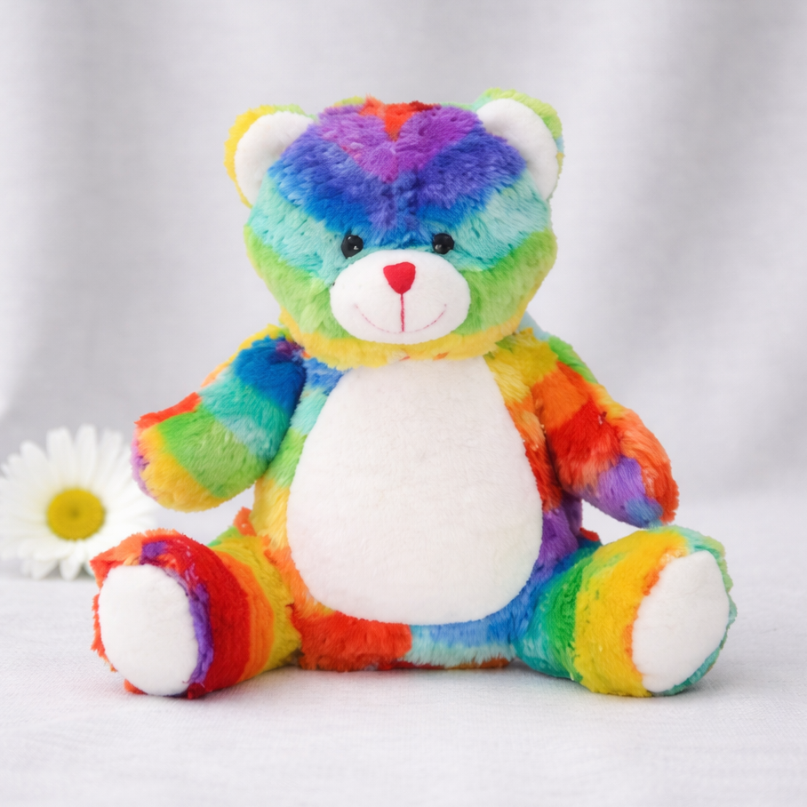 -Rainbow Bear Teddy