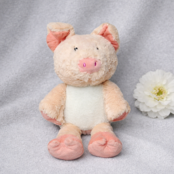 -Pig Teddy