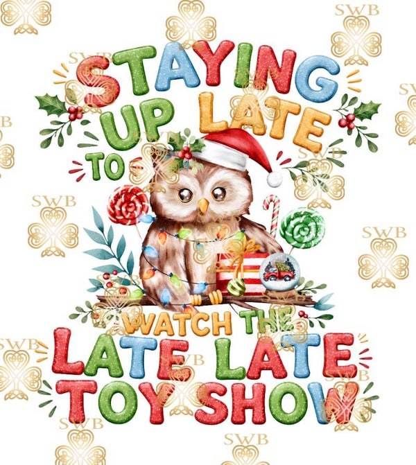 Digital Download Toy Show #504