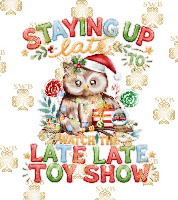 Digital Download Toy Show #507