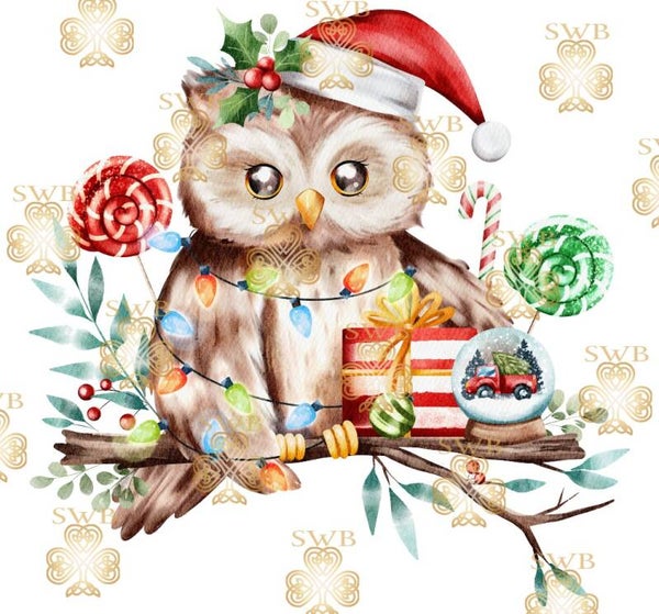 Digital Download #148