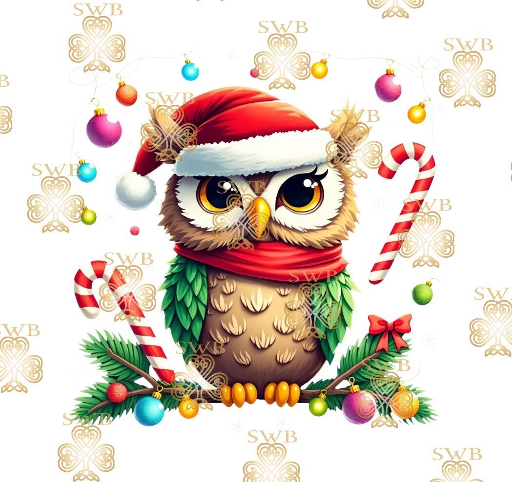 Digital Download #16