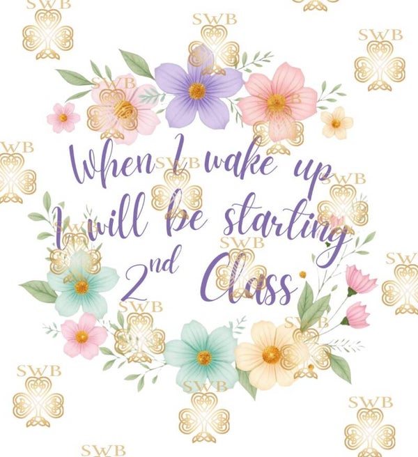 Digital Download #380