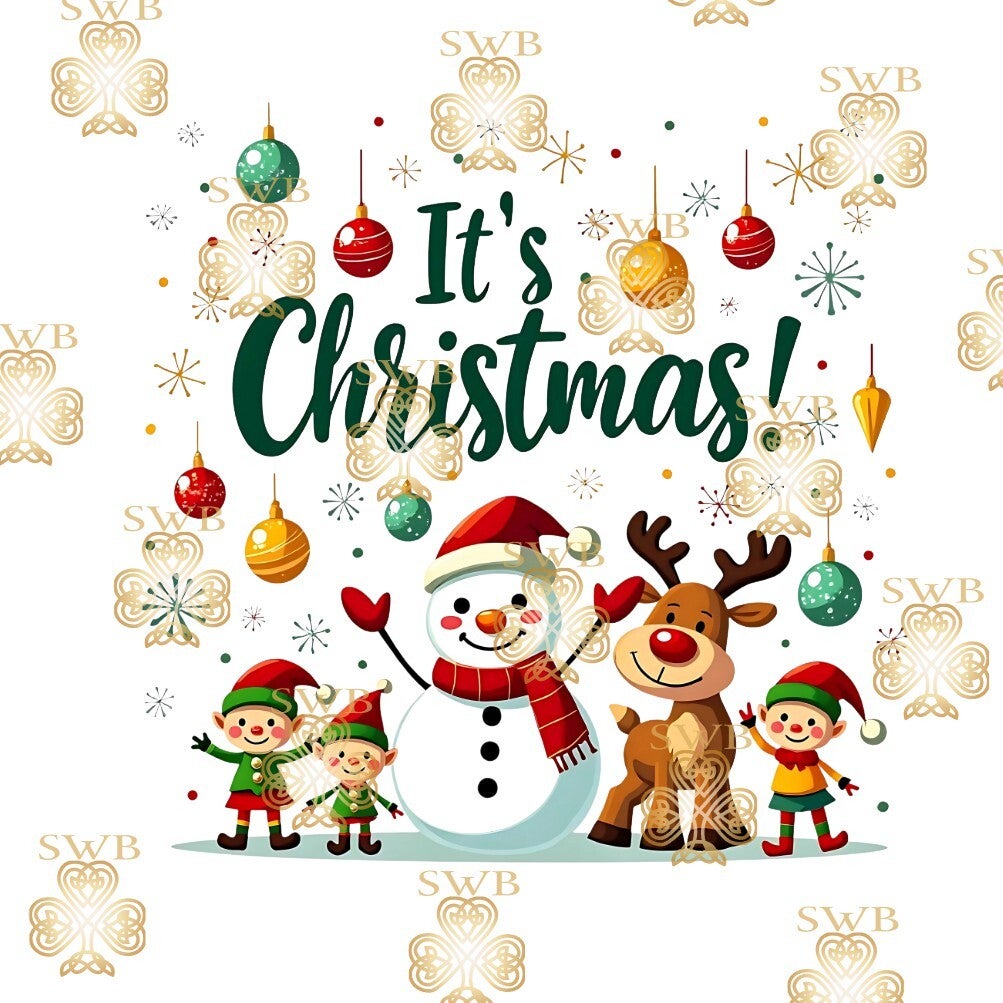 Digital Download #409