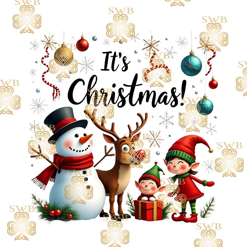 Digital Download #410