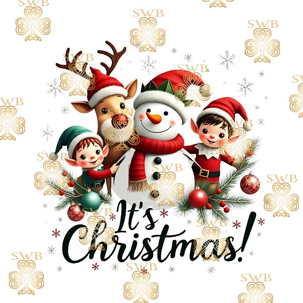 Digital Download #411