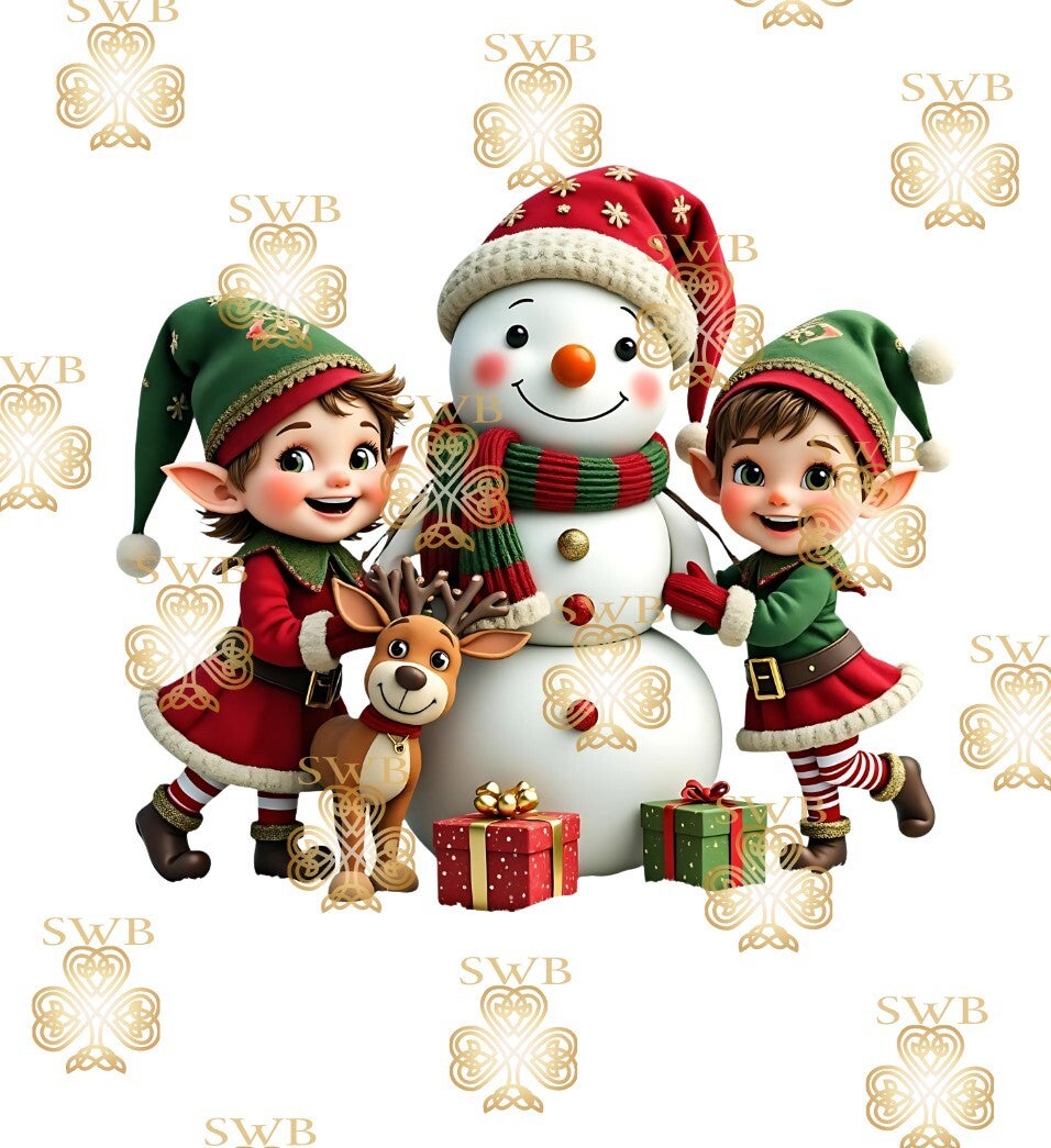 Digital Download #421