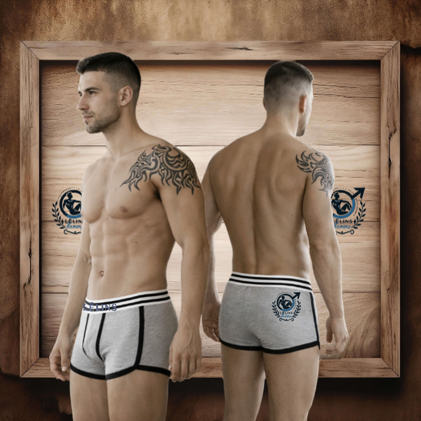 Boxer "maïdo" gris clair