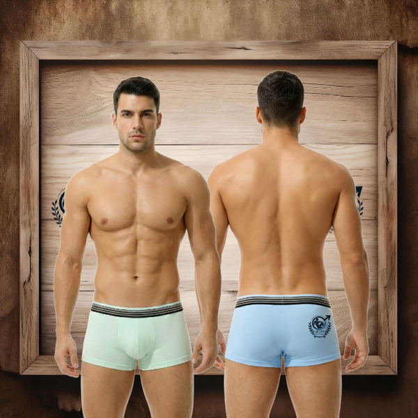 Lot boxers "Pastel" vert et bleu