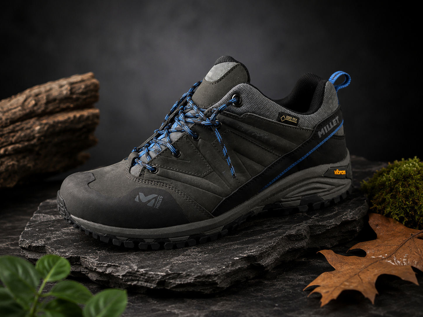 Chaussure millet