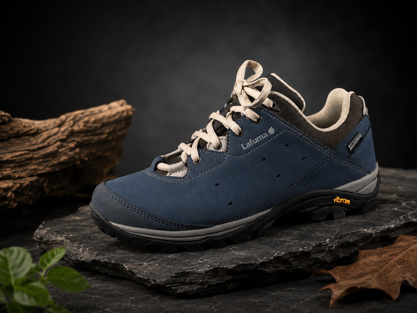 Chaussure Lafuma