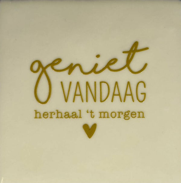 Quote tegel - geniet vandaag, herhaal het morgen