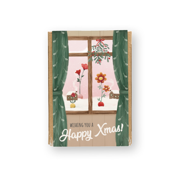 Mini gift set met 4 zaad bommetjes - Wishing you a Happy Christmas