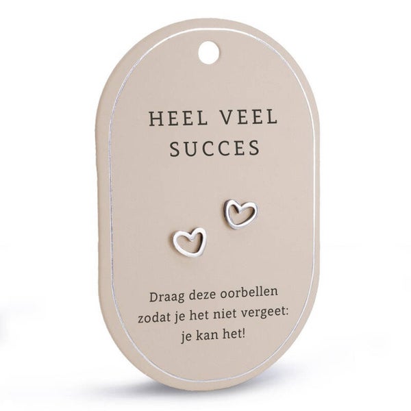 Oorbellen - zilver - heel veel succes