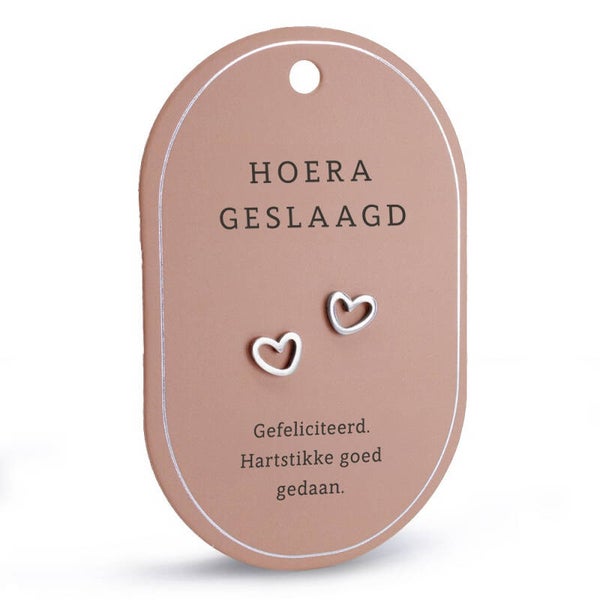 Oorbellen - zilver - geslaagd