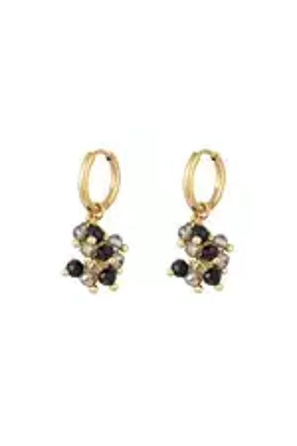 Oorbellen tros kristallen kraaltjes zwart goud stainless steel